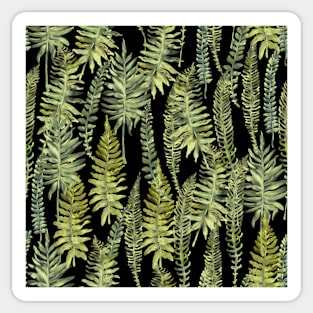 Fern leaves green forest on black Sticker